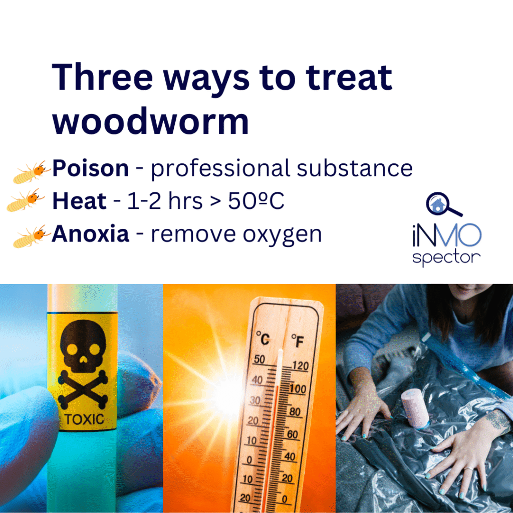 How to eliminate woodworm/ treatment