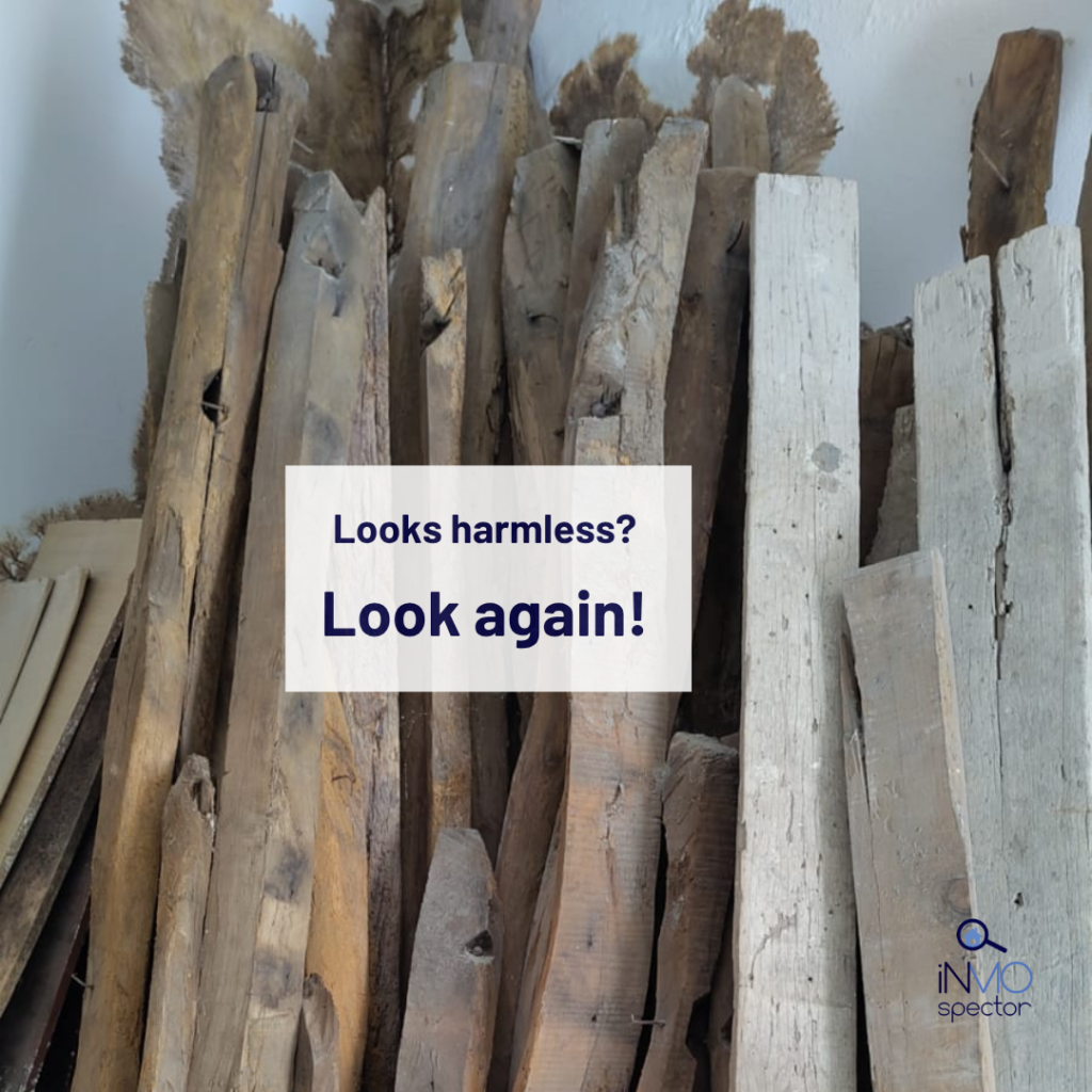 dry rot on wood